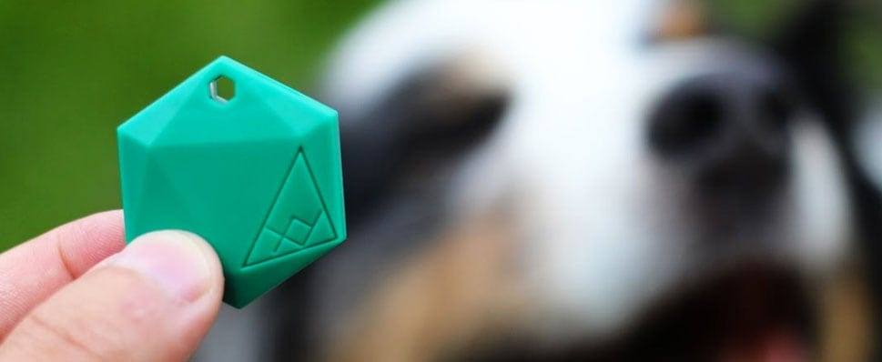 XY Find It Review