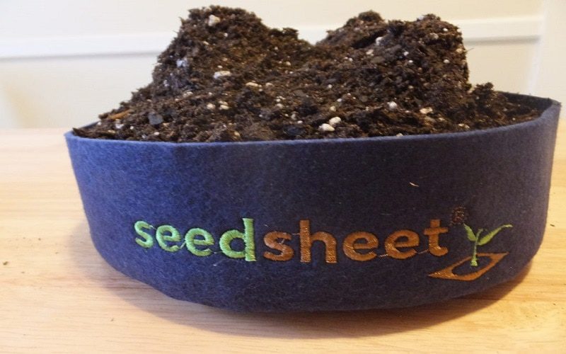 Seedsheet1