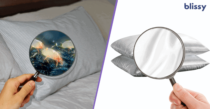 Blissy Silk Pillow Cover Reviews