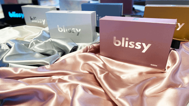Blissy silk Pillowcase
