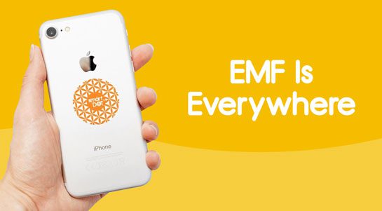 What are EMFs?