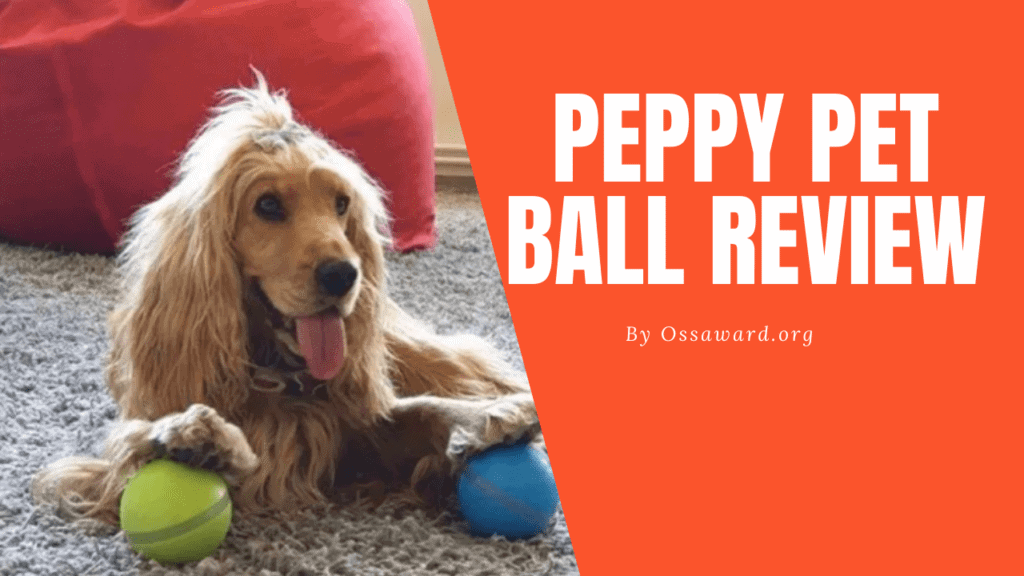 Peppy Pet Ball Review