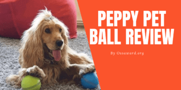 Peppy Pet Ball Review