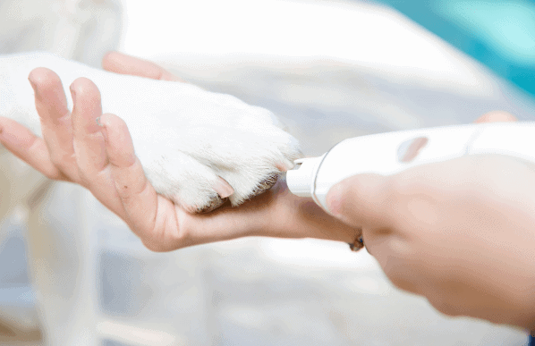 BarxBuddy Nail Pro Review