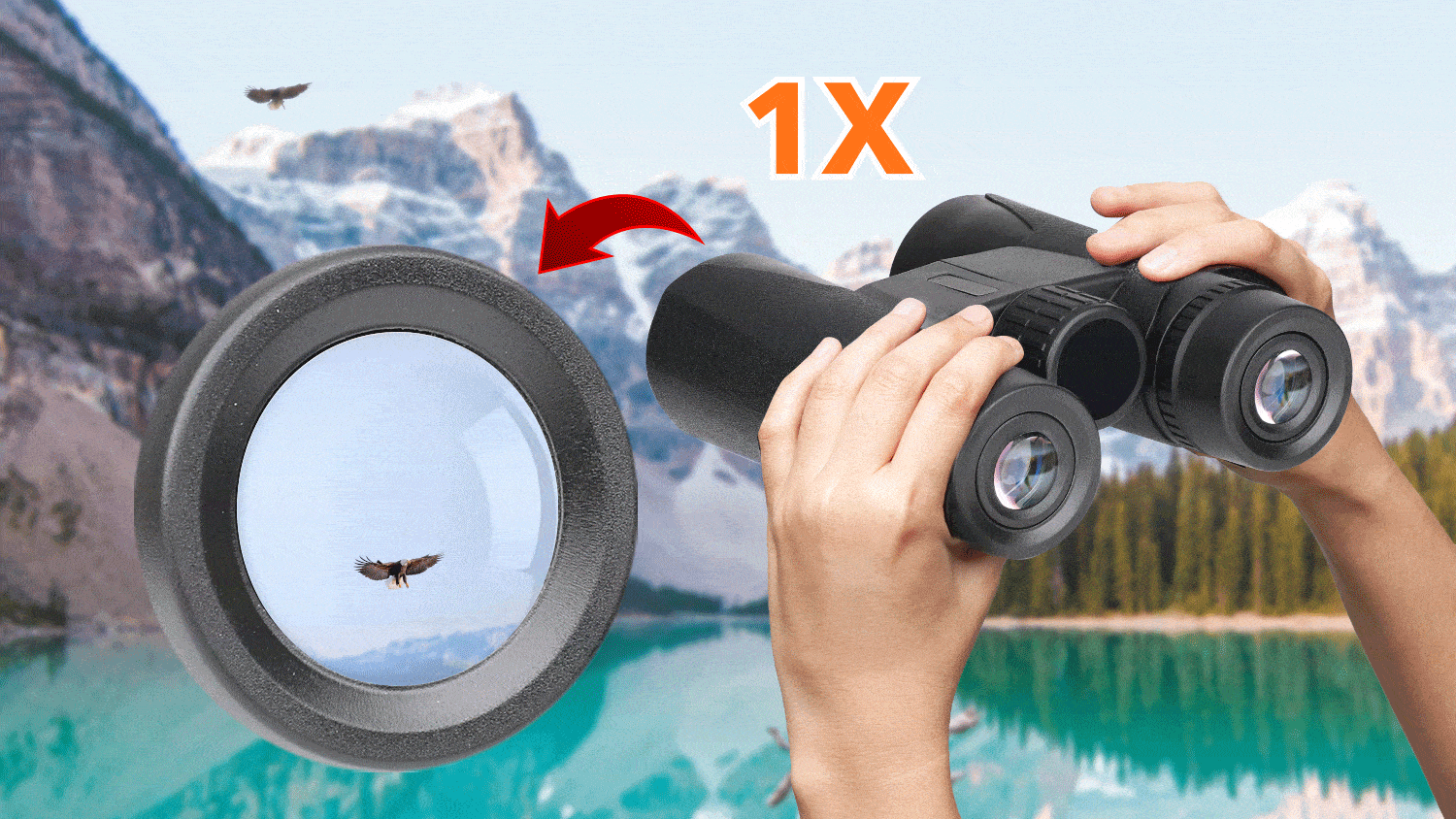 Starscope Binoculars Reviews