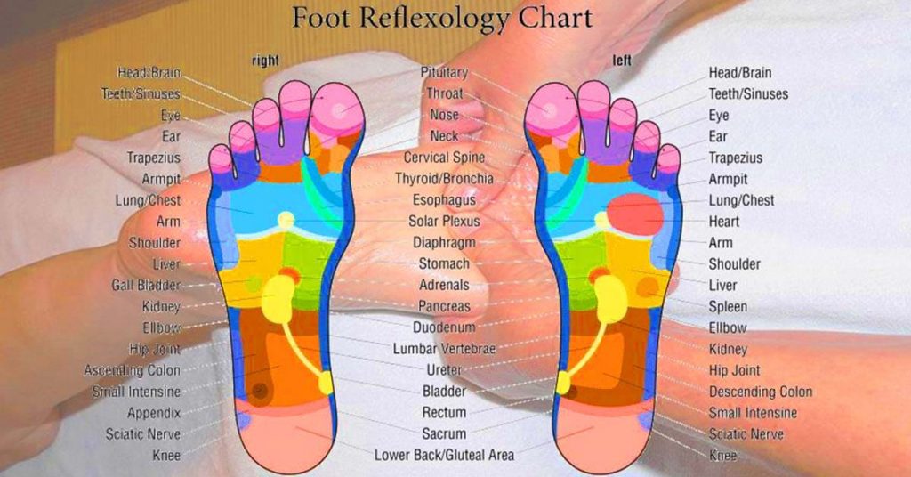 Foot Reflexology Chart