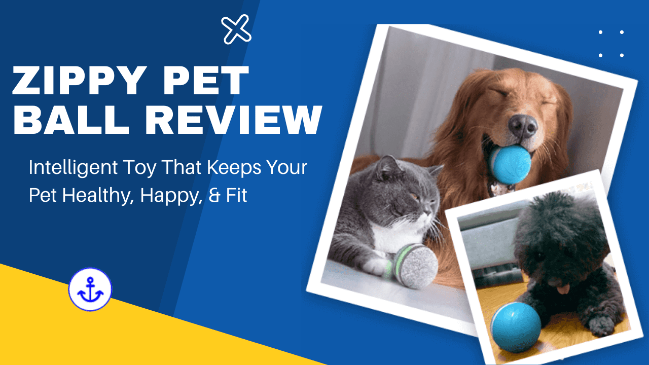 Zippy Pet Ball Review