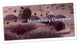 How Does Mucociliary Clearance Work – Mucus Clearance and Removal?