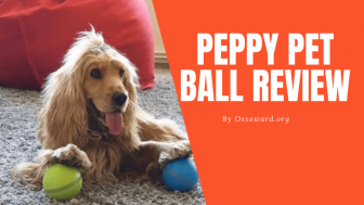 Peppy Pet Ball Review 2022: Is It Legit or Cheap Dog Toy to Try?
