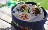 SeedSheet Review 2022 – Grow a Fresh, Organic Herb Garden from Home?
