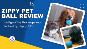 Zippy Pet Ball Reviews 2022: Your Pet Will Never Be Lonely!